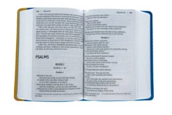 NIV Giant-Print Compact Bible For Boys, Leather-look, Blue/Yellow -Books Shop 210 0577 3 2