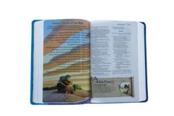 NIV Adventure Bible, Imitation Leather -Books Shop 210 0608 3
