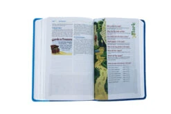 NIV Adventure Bible, Imitation Leather -Books Shop 210 0608 5