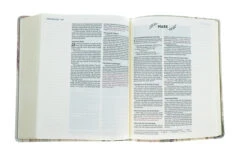 NIV Artisan Collection Bible Multi-Color/Cream -Books Shop 210 0609 4