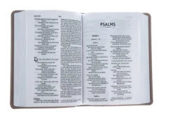 NIV Larger Print Compact Leathersoft Pink Bible -Books Shop 210 0611 3 1