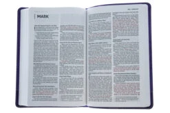 NIV Bible For Kids Purple Leathersoft -Books Shop 210 0612 5