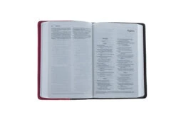 NIV Compact Bible Chocolate / Hot Pink -Books Shop 210 0613 2