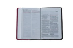 NIV Compact Bible Chocolate / Hot Pink -Books Shop 210 0613 3