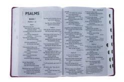 NIV Super Giant Print Reference Bible, Leathersoft, Pink -Books Shop 210 0615 3