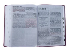 NIV Super Giant Print Reference Bible, Leathersoft, Pink -Books Shop 210 0615 4