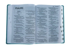 NIV Super Giant Print Reference Bible, Leathersoft, Teal -Books Shop 210 0616 7