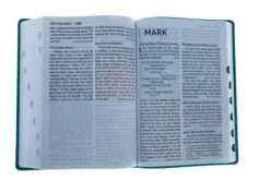 NIV Super Giant Print Reference Bible, Leathersoft, Teal -Books Shop 210 0616 8