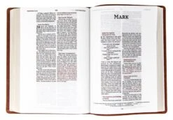 NIV Wide Margin Bible, Leathersoft, Brown -Books Shop 210 0623 2