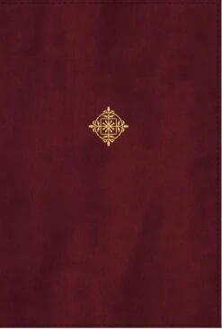 NIV Thompson Chain-Reference Bible, Handy Size, Leathersoft, Burgundy