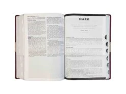 NIV Life Application Study Bible -Books Shop 210 0644 2 scaled 1