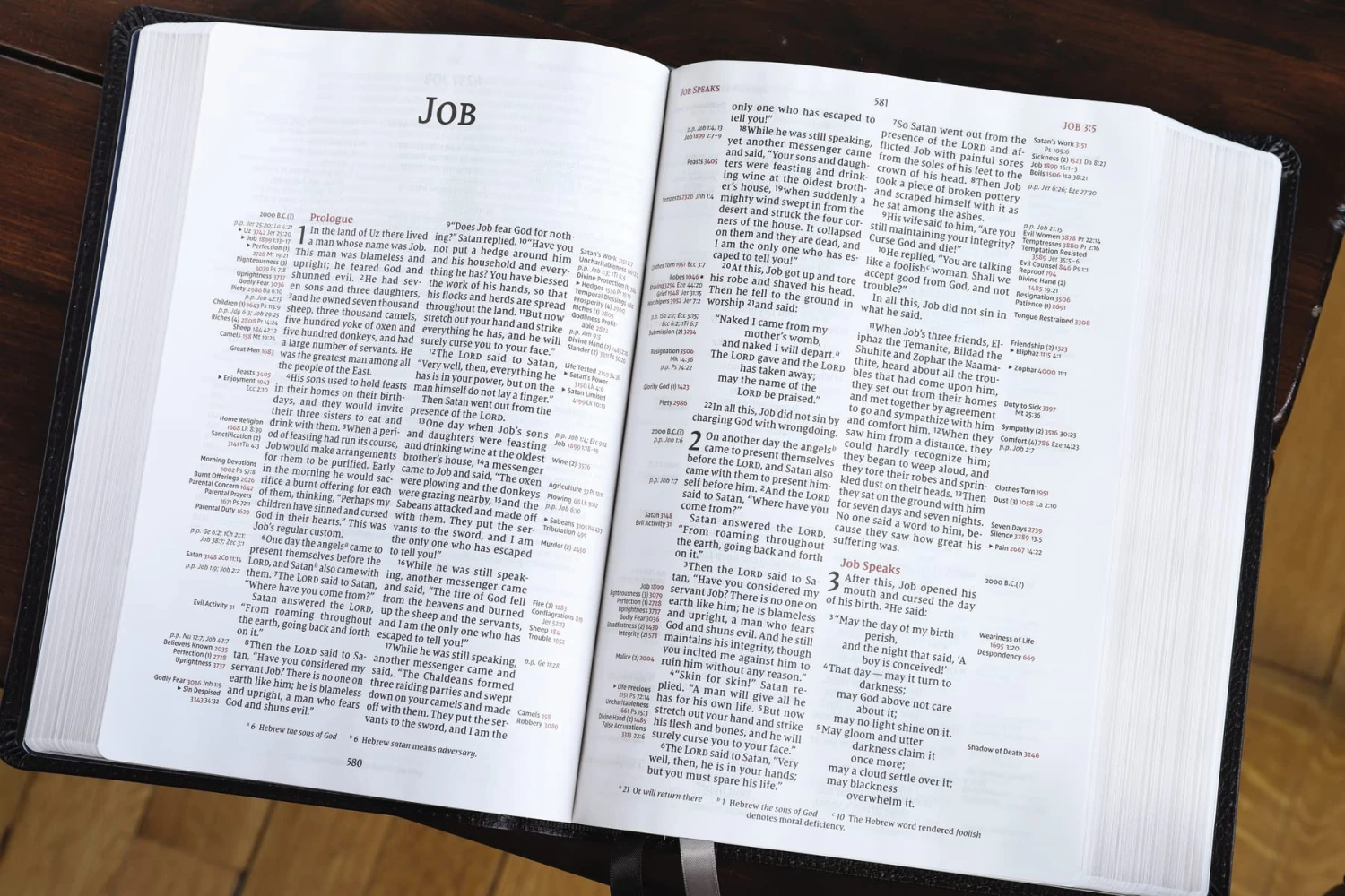 NIV Thompson Chain-Reference Bible, Handy Size- Thumb-Indexed 4 NIV Thompson Chain-Reference Bible, Handy Size- Thumb-Indexed - Image 2