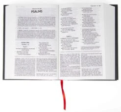 NKJV Foundation Study Bible -Books Shop 211 0234 1