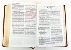 NKJV Foundation Study Bible, Large Print – Brown -Books Shop 211 0239 2