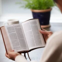 NKJV Compact Bible, MacLaren Series, Leathersoft, Brown, Comfort Print -Books Shop 211 0240 1