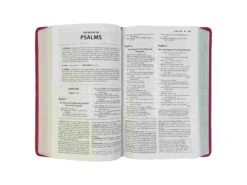 NKJV – Foundation Study Bible Coral Leathersoft -Books Shop 211 0249 1 scaled 1