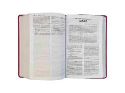 NKJV – Foundation Study Bible Coral Leathersoft -Books Shop 211 0249 2 scaled 1