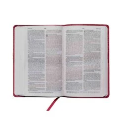 NKJV Value Thinline Bible, Standard Print, Imitation Leather, Burgundy, Red Lett -Books Shop 211 0250 1