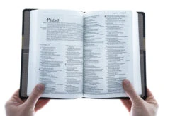 NLT2 Premium Gift Bible-Tan/Brown TuTone -Books Shop 212 0003 3 1