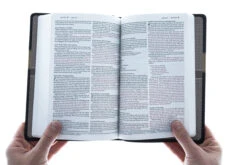 NLT2 Premium Gift Bible-Tan/Brown TuTone -Books Shop 212 0003 4 1