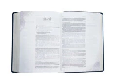 NLT Dayspring Hope & Encouragement Bible-Navy Blue LeatherLike -Books Shop 212 0059 4