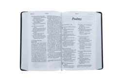 NLT Personal Size Giant Print Bible, Filament Enabled Edition -Red Letter, -Books Shop 212 0090 3