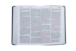 NLT Personal Size Giant Print Bible, Filament Enabled Edition -Red Letter, -Books Shop 212 0090 4