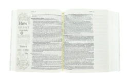 NLT2 One Year Chronological Bible Creative Expressions -Softcover -Books Shop 212 0149 2