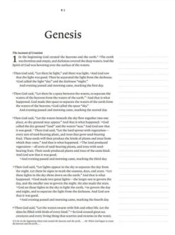 NLT Wide Margin Bible Brown – Filament Enabled -Books Shop 212 0184 4