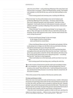 NLT Wide Margin Bible Brown – Filament Enabled -Books Shop 212 0184 5