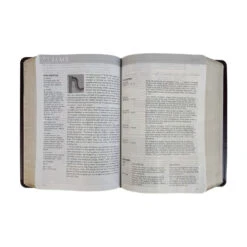 NLT Life Application Study Bible Large Print Brown Imitation Leather -Books Shop 212 0186 2 1