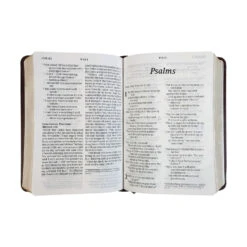 NLT Compact Giant Print Bible -Books Shop 212 0191 2 1