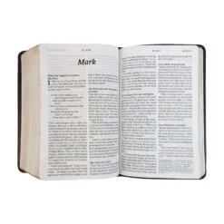 NLT Compact Giant Print Bible -Books Shop 212 0191 3 1