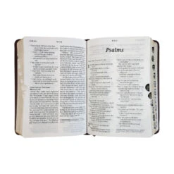 NLT Compact Giant Print Bible, -Books Shop 212 0192 3
