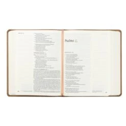 NLT Notetaking Bible – Galilee Theme -Books Shop 212 0195 2