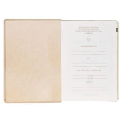 NLT Pearlescent Taupe Faux Leather Spiritual Growth Bible -Books Shop 212 0207 3
