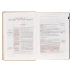 NLT Pearlescent Taupe Faux Leather Spiritual Growth Bible -Books Shop 212 0207 4
