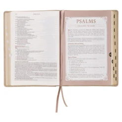 NLT Pearlescent Taupe Faux Leather Spiritual Growth Bible -Books Shop 212 0207 5 1