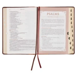 NLT Two-tone Espresso And Toffee Brown Faux Leather Spiritual Growth Bible -Books Shop 212 0209 5 1