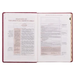 NLT Berry Faux Leather Spiritual Growth Bible -Books Shop 212 0211 3