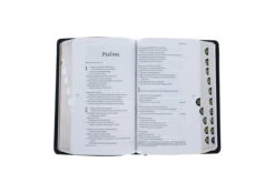 Filament Bible NLT -Leatherlike, Black, Indexed: The Print+digital Bible -Books Shop 212 1151 3 1