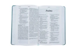 NLT Personal Size Giant Print Bible LeatherLike, Floral Frame Teal -Books Shop 212 1165 3 1