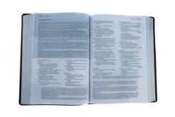 NLT Life Recovery Bible, Second Edition Leatherlike, Rustic Brown -Books Shop 212 1174 5