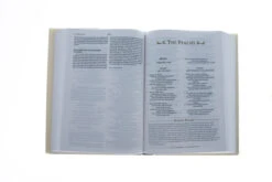 Nrsv, The C. S. Lewis Bible -Books Shop 213 0029 2