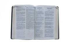 RVR 1960 KJV Santa Biblia -Spanish And English Edition -Books Shop 216 0003 3