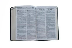 RVR 1960 KJV Santa Biblia -Spanish And English Edition -Books Shop 216 0003 4