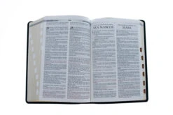 Span-RVR 1960/KJV Bilingual-Black Bonded Leather Indexed -Books Shop 216 0004 4