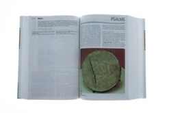 CEB Study Bible W/Apocrypha-Hardcover -Books Shop 217 0005 5