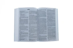 Semeur, French Bible: La Sainte Bible Version Semeur Paperback -Books Shop 225 0003 3
