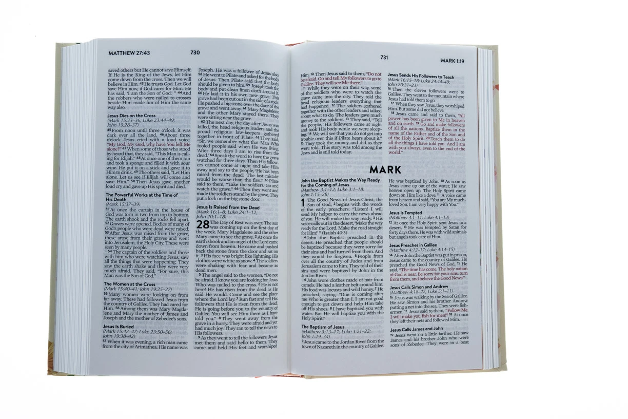 A To Z Devotional Bible For Courageous Girls: New Life Version 5 A To Z Devotional Bible For Courageous Girls: New Life Version - Image 3